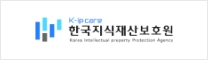 한국지식재산보호원